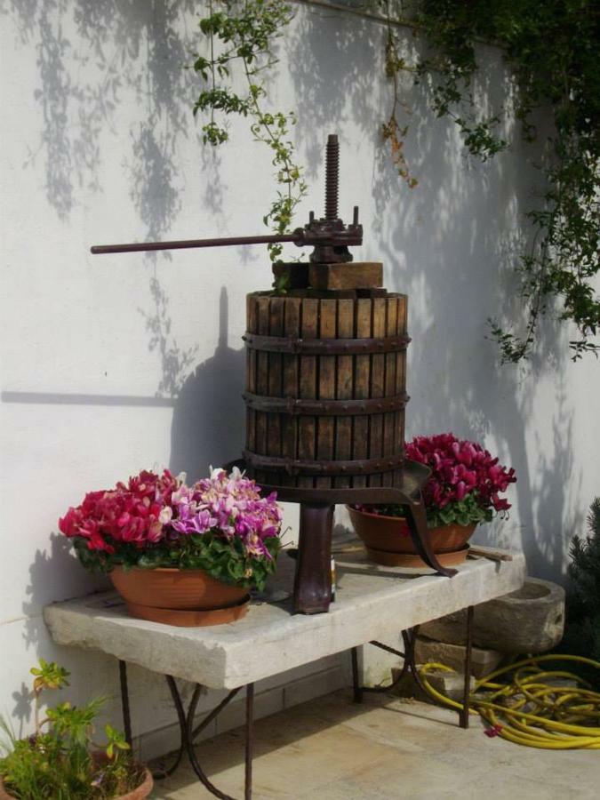 B&B Le Coppe Bisceglie Exteriér fotografie
